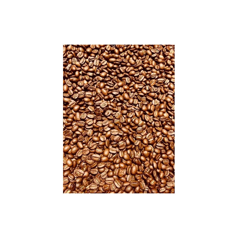 Café Veracruzano 100% Arábica Exportación Premium Coatepec