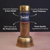 Panjon Swad Roasted Saunf Mukhwas Mouth Freshener 1 Bottle, 100g