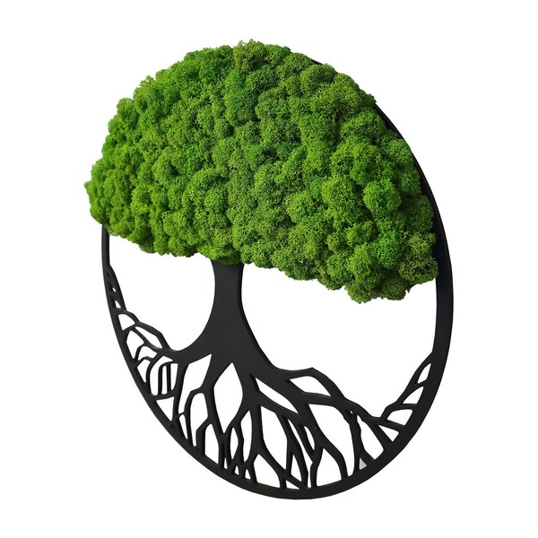 Hello Moss Wall Decoration Moss Pictures in the Shape of