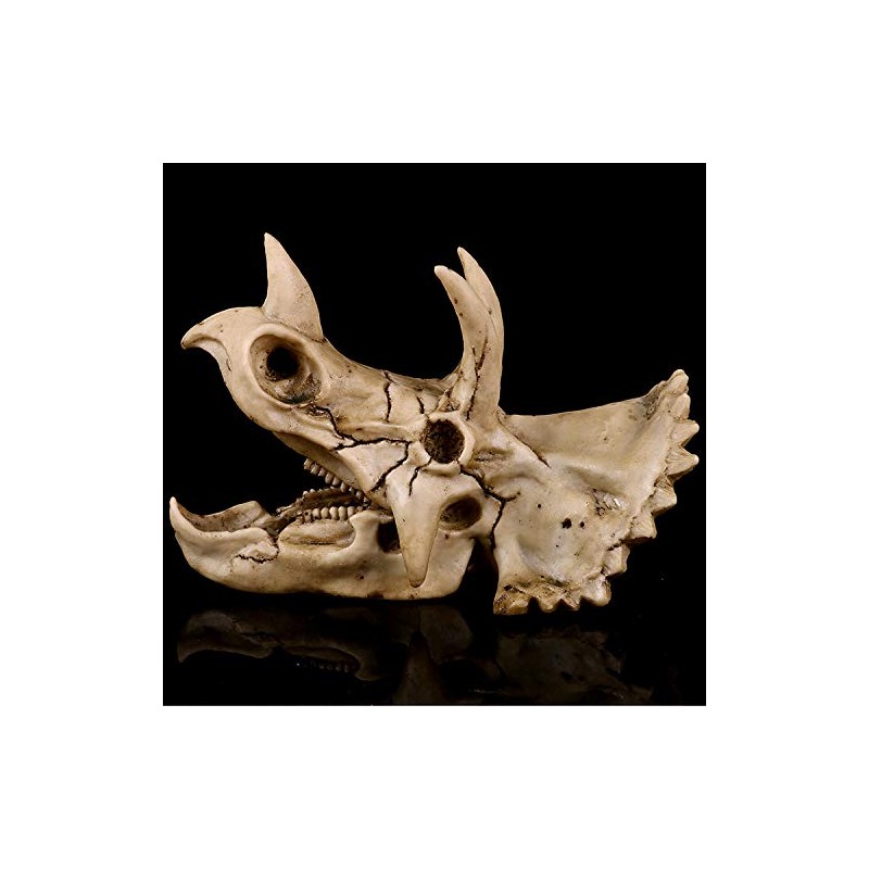 VOANZO Resin Triceratops Skull Model Replica, Dinosaur Tooth Skull Fossil,
