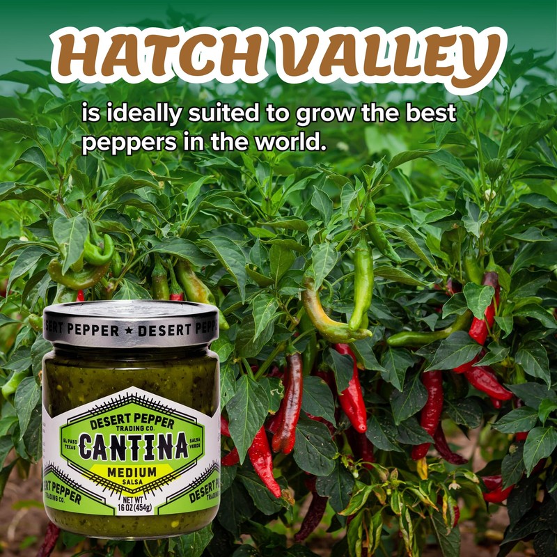 Desert Pepper Trading Company Cantina Salsa, Medium Green, With Green
