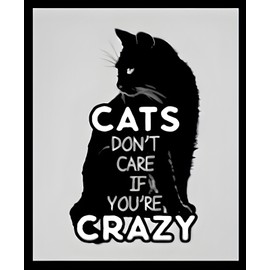 Handmade Cats Don't Care If You're CRAZY I Think They Prefer It! Pet Kitten Love MAGNET