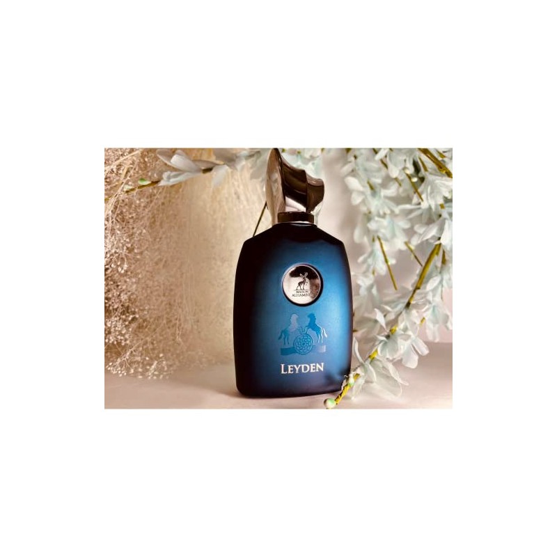 ALHAMBRA LEYDEN 3.4 EAU DE PARFUM SPRAY FOR MEN