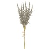 SilksAreForever 19" Artificial Astilbe Flower Stem Bundle -Sage (Pack of