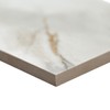 MSI Calacatta Gold 4 in.x 12 in. Subway Matte Porcelain