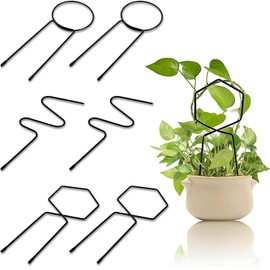 DEAYOU 6-Pack Trellis for Potted Plants, Small Metal Trellis, Mini Plant Climbing Support Garden Trellis for Flower Pots, Hoya, House Plant, DIY, Indoor Outdoor Vines Vegetable, Ivy, Black, 11" x 4"