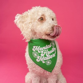 Mental Health Matters Dog Bandana (Lime, OS 805)