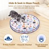 GoldenSun Interactive Cat Toys, Automatic Fast Rolling Ball in Pouch,