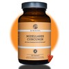 QIDOSHA® Novasol® Curcumin Liquid, 120 Capsules in Pharmacist Glass, 500