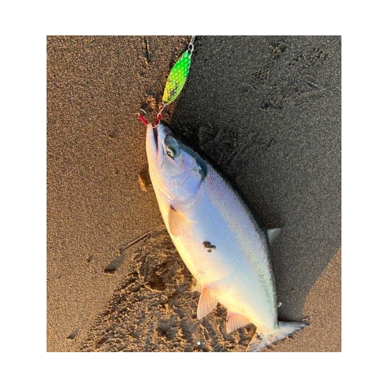 Endo Craft Credo Dc Lure Spoon, 1.1 oz (30 g),