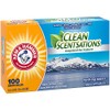 ARM & HAMMER ARM & HAMMER Fabric Softener Sheets, 100