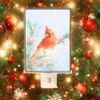 Raz Imports Cardinal Winter Scene Nite Lite – Plug-in Night