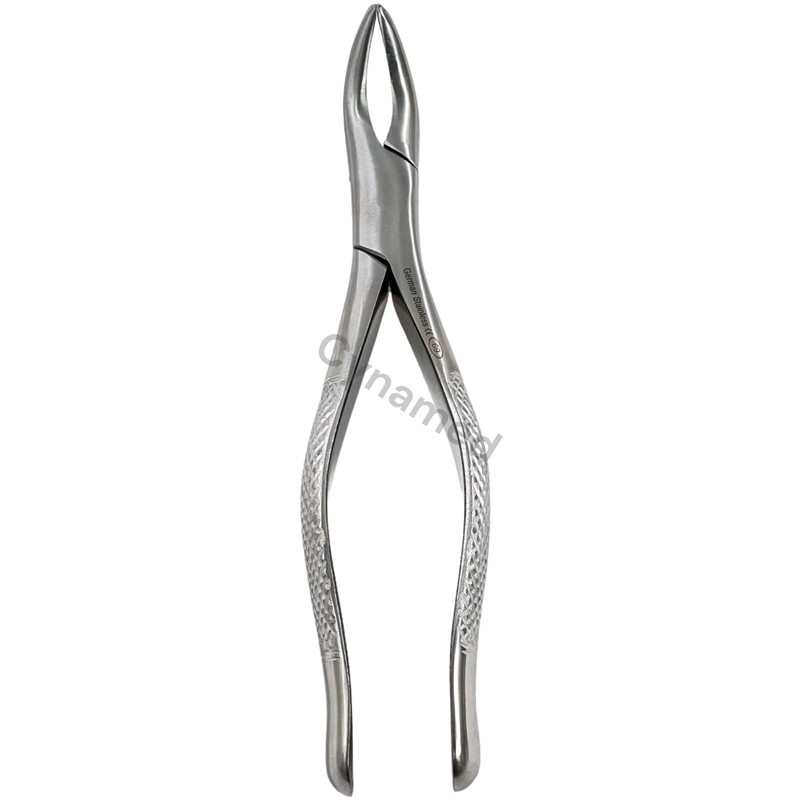 Dental Extracting Forceps Extracting Forceps #69 Fragment, Lower Root, Upper