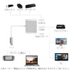 Remarks Japan HDMI Type-C to Type C Converter Adapter Silver