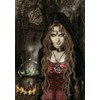 Heye Puzzle 1000: Favole by Victoria Frances (Witch)