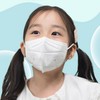 KF94 Small Black Protective Mask for Elementary School Children 25 Count 2ea