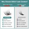 Individual Lashes SISILILY Cluster Lashes 144 Lash Clusters DIY Lash