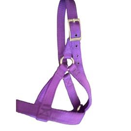 Goat or Llama Halters Handmade 4 Sizes (Small, Purple)
