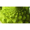 Viridis Hortus - Cauliflower, Romanesco - 300 (1g) Vegetable Seeds