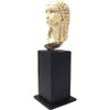 Parastone The Venus of Brassempouy - Miniature - PA23BR