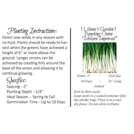 Fast-Growing Bunching Onion Seeds - "Ishikura Improved" - Liliana's Garden - USA Grown Heirloom Seeds