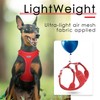ThinkPet Reflective Breathable Soft Air Mesh No Pull Puppy Choke