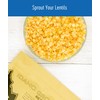 CLEAR CREEK Certified Glyphosate Residue Free Red Lentils | 18