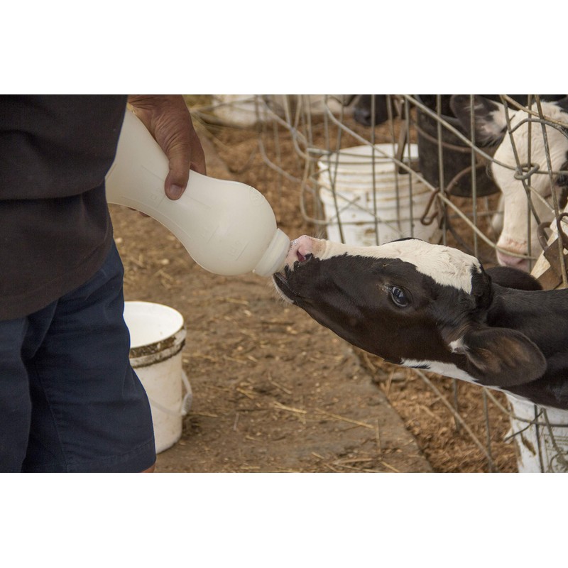 BESS Calf 2qt Nursing Feeding Bottle: Leak-Free, Non-Collapsing, with Clear