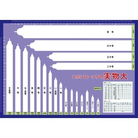 nihonro-soku Large 1.5 # # # # 1/2 G