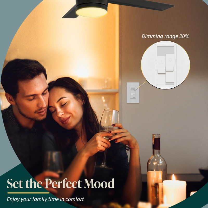 TOPGREENER Combo Dimmer Switch with 3-Speed Fan Control, Light and