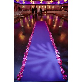 Satin Aisle Runner 50Ft 5 Ft Wide - Wedding, red Carpet Events - Seamless (Gold)
