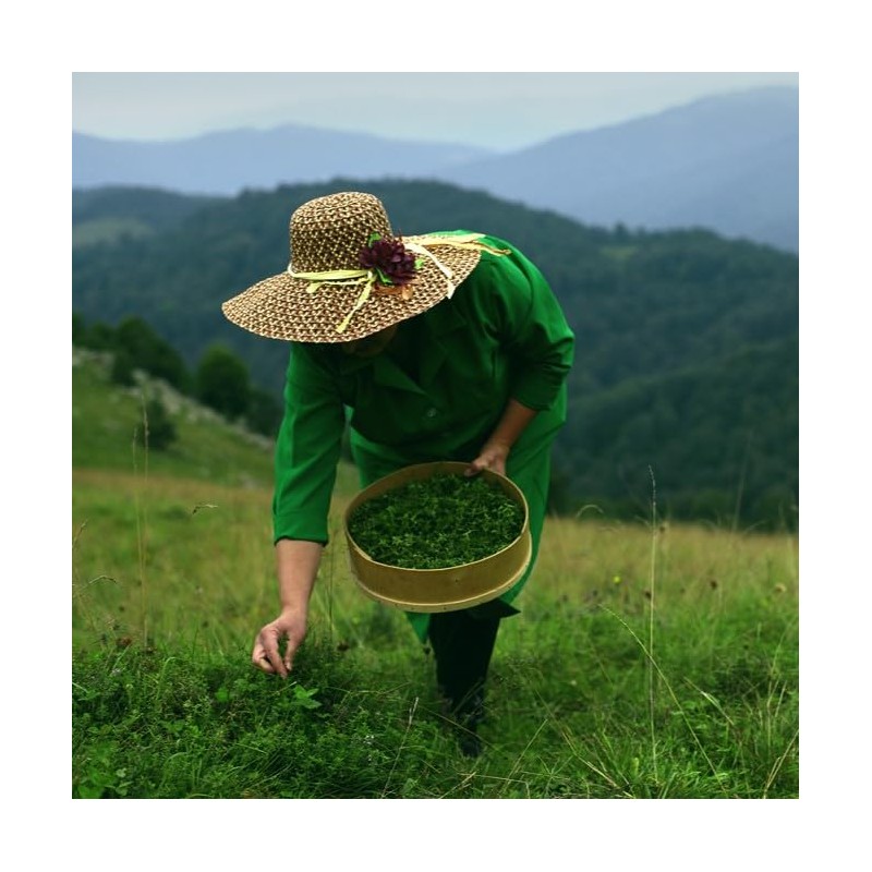 Armenian Herbal Tea No. 15 – Evening Light | Tranquil