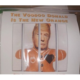 Unbranded The Voodoo Donald Is The New Orange Doll