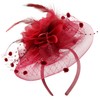 Needzo Needzo Fascinator for Women, Kentucky Derby, The Oaks, Church,