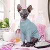 Hjyokuso Cat Clothes, Sphynx Cat Clothing, Sphynx Cat Jumper, Cat