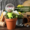 NiHome 2-Pack Tulip-Shaped Plant Self-Watering Globes (Pink + Green)