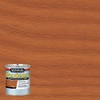 Minwax 214204444 Polyshades - Stain & Polyurethane in 1 Step, 1/2 pint, Pecan, Gloss