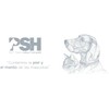 PSH PET SKIN HEALTHCARE Aloe Lover Shampoo, Limpiador para Mascotas,