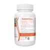 Logic Nutra Mastic Gum Supplement