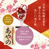Osaka Choseido Hagodo, Cute, Stylish, Compact, With Stand, Name Insert,