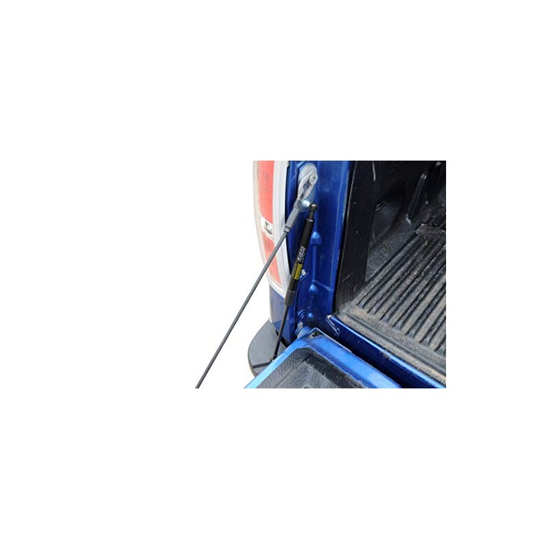 Dee Zee DZ43207 Tailgate Assist Fits 22-Current Ford Maverick, Black