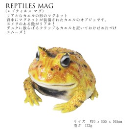 レプティスマグ ホーンドフロッグ (ツノガエル) イエロー 5.5×7×5.5cm