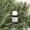 Georges Laure Scalp Detox Repair Oil Kapilor Dete 28ml /