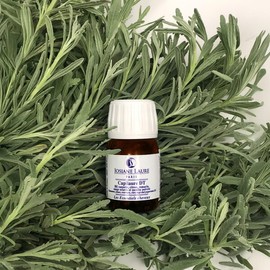 Georges Laure Scalp Detox Repair Oil Kapilor Dete 28ml / 조지앙 로르 두피 디톡스 리페어 오일 카피로르 데떼 28ml