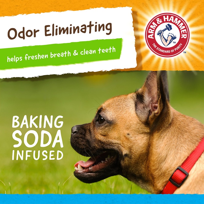 Arm & Hammer For Pets Rock N Roller Axis Rubber