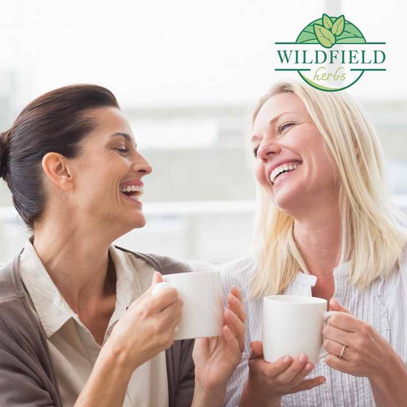 20 Bags Dried Centaury Herb Tea (Centaurii Herba) - 20