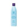 Ovation Color Therapy Shampoo - Salon Quality, Sulfate Free Shampoo