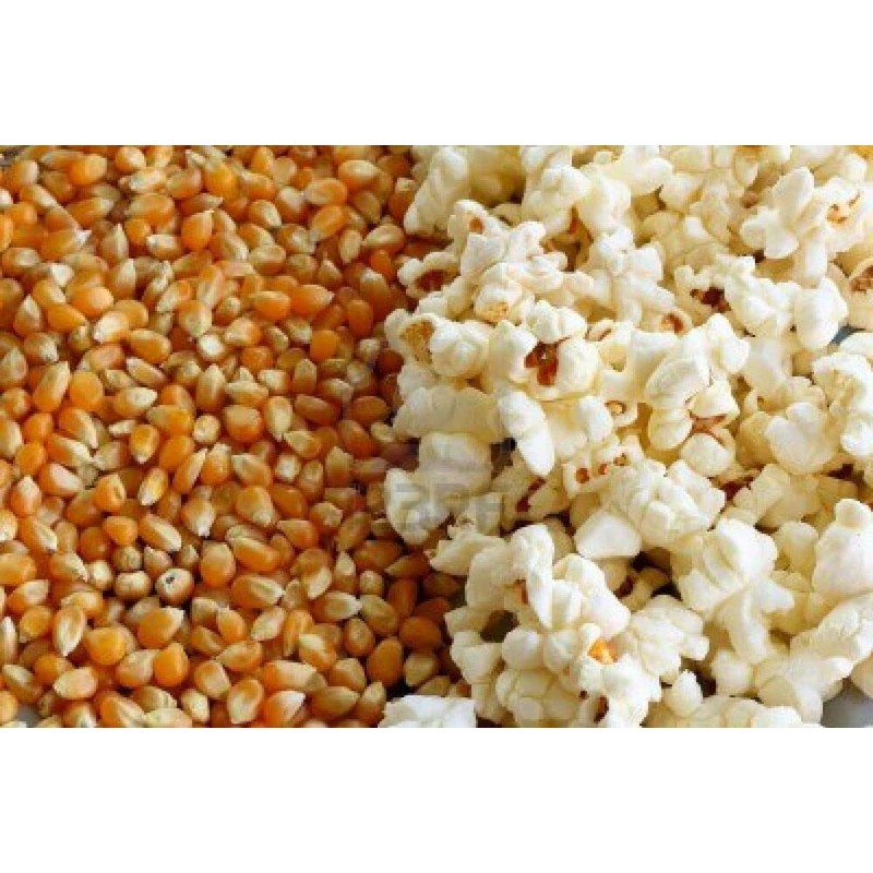 Organic Popcorn Kernels unpopped Non-GMO, Vegan Bulk Raw (2 lb)