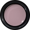 PREANFA GEL Color Gel Color EX Silky Skin 0.1 oz