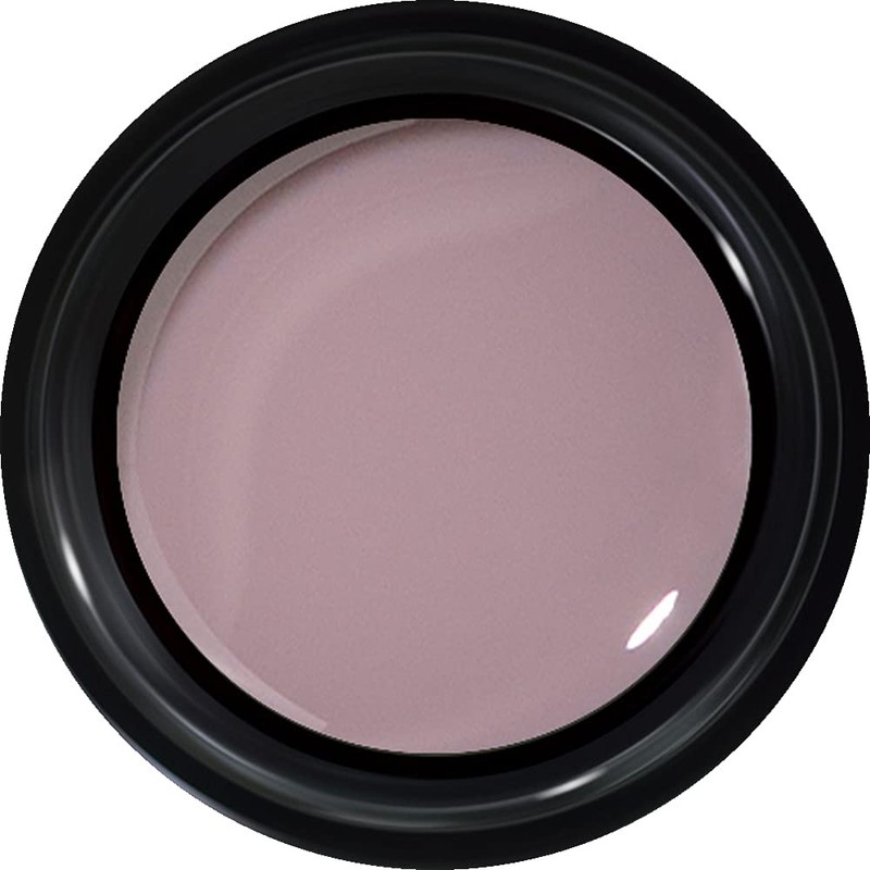 PREANFA GEL Color Gel Color EX Silky Skin 0.1 oz